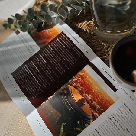 Kairos - Valdi - Darmowy Parking, Widok Na Spodek, Scisle Centrum, *