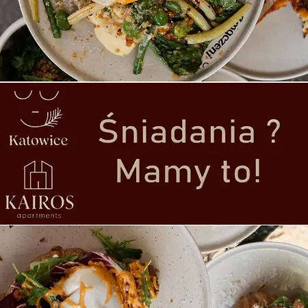 Kairos - Valdi - Darmowy Parking, Widok Na Spodek, ścisłe Centrum, Apartament *
