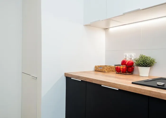 Kairos - Valdi - Darmowy Parking, Widok Na Spodek, Scisle Centrum, * Katowice